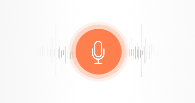 Enter Voice Assistant