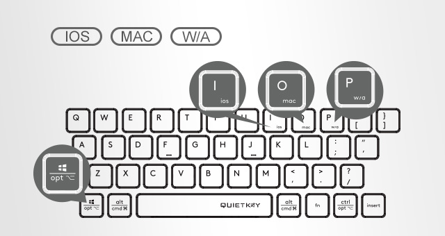 Operating System Swap