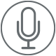 Voice Assistant